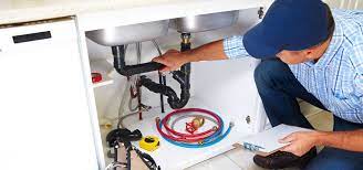 What Can a Plumbing Professional Do?