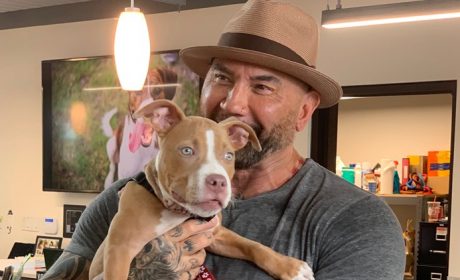 Dave Bautista Dogs and Your pets