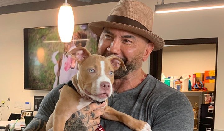 Dave Bautista Dogs and Your pets