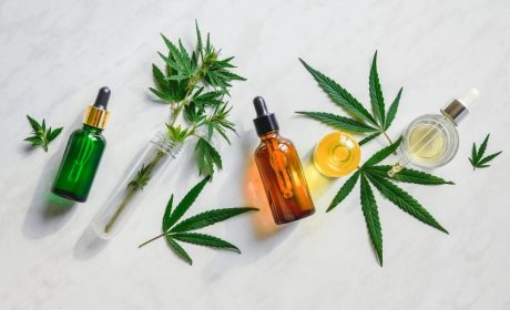 Steps to becoming CBD oil and other CBD products distributor