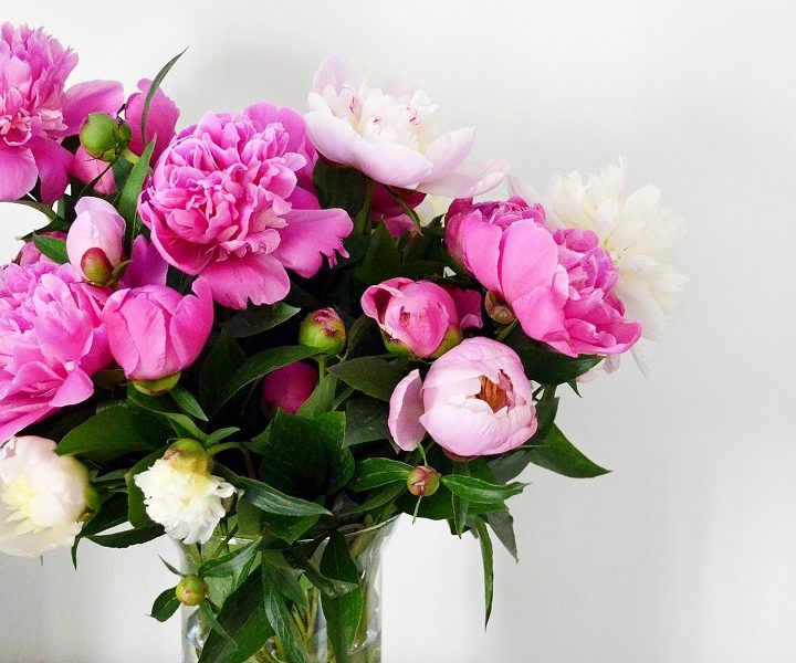 Flower shop delivery – How to send beautiful blooms to your loved ones?
