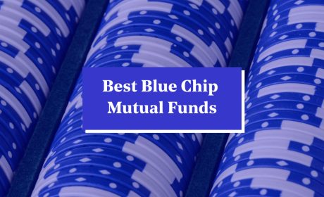 Exploring why the Axis Blue Chip Fund is worth investing