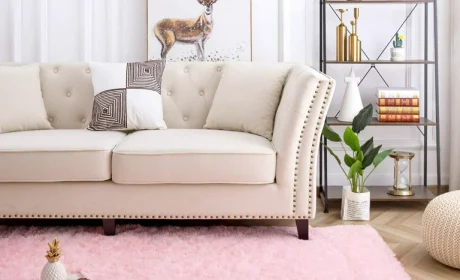 Interior Design Tips For Decorating With Pink Rugs