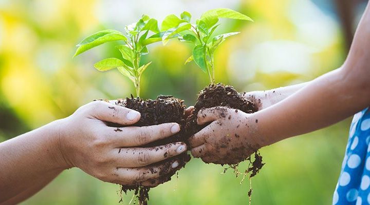 5 Ways Environmental Stewardship Promotes Healthier Lives